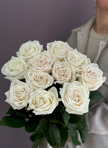 Розы пионовидные Плайя Бланка от интернет-магазина цветов в 