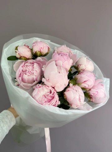 Пионы Сара Бернар от интернет-магазина цветов в 