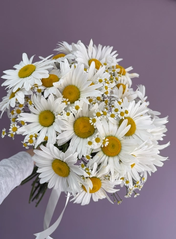 Букет ромашек от интернет-магазина цветов в 