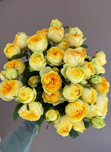 Солнечные пионовидные розы от интернет-магазина цветов в 