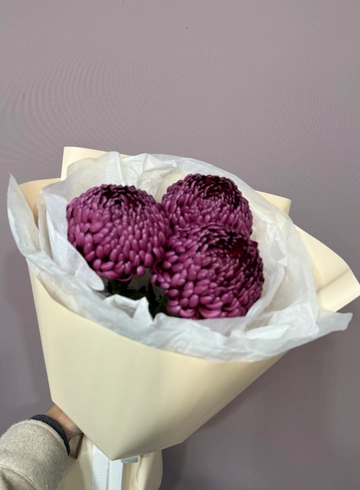 Букет из хризантем «Бигуди Перпл» от интернет-магазина цветов в 