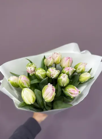 Пионовидные тюльпаны &laquo;Весна&raquo; от интернет-магазина цветов в 